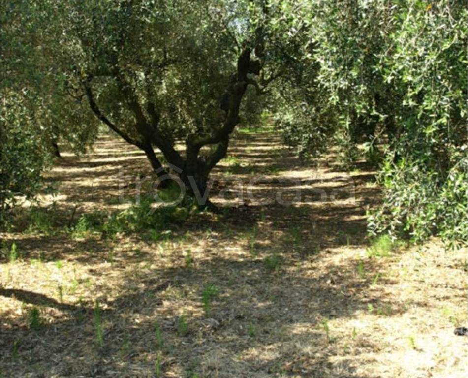 immagine annuncio 6 di 7