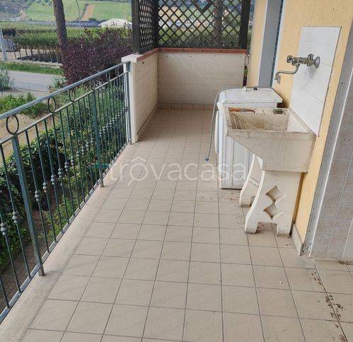 immagine annuncio 5 di 12