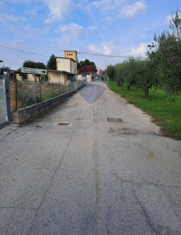 immagine annuncio 3 di 11