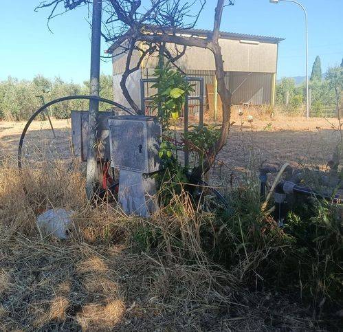 immagine annuncio 10 di 15