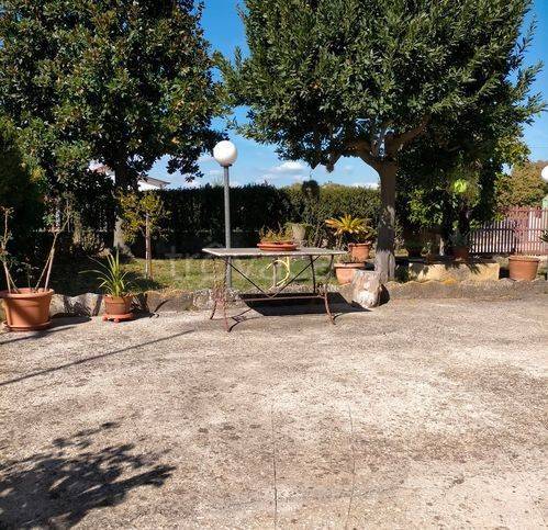 immagine annuncio 2 di 8