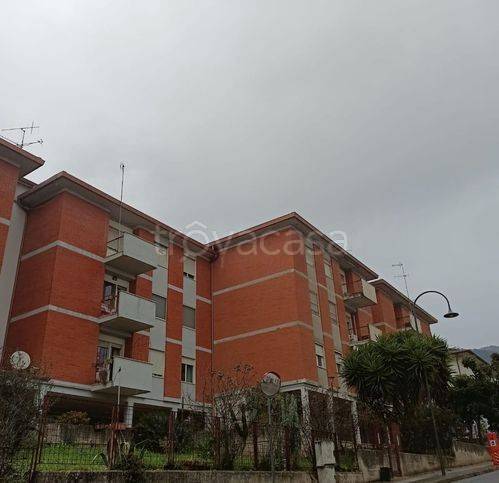 immagine annuncio 1 di 4