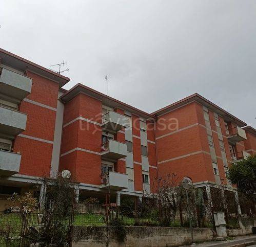 immagine annuncio 2 di 4