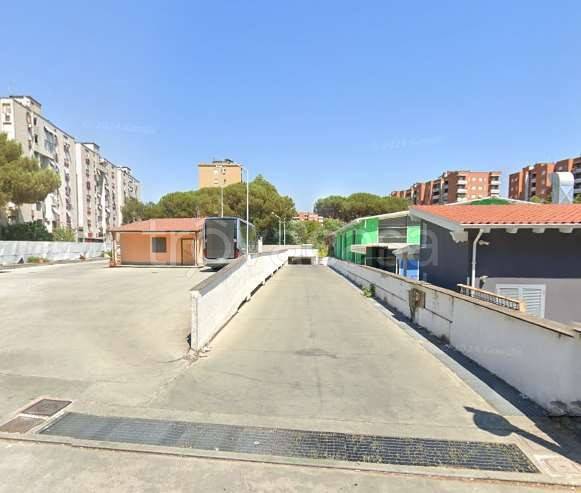 immagine annuncio 5 di 12