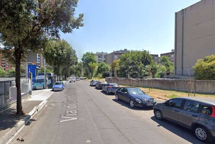 immagine annuncio 8 di 12