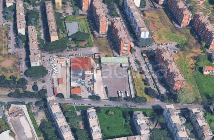 immagine annuncio 9 di 12