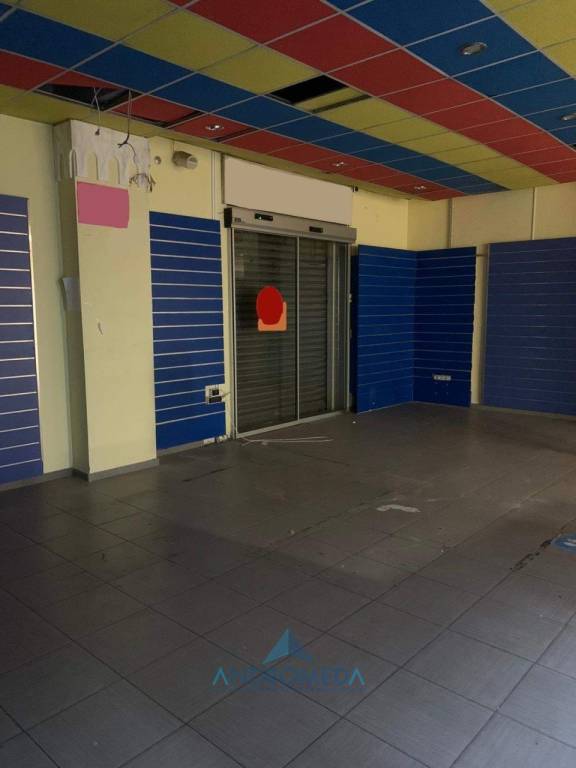 immagine annuncio 3 di 7