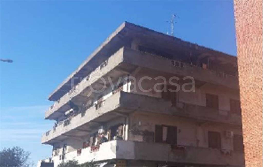 immagine annuncio 1 di 9