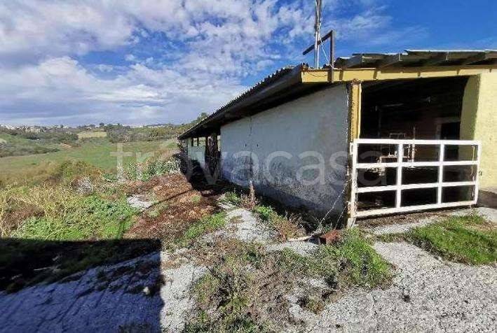 immagine annuncio 10 di 12