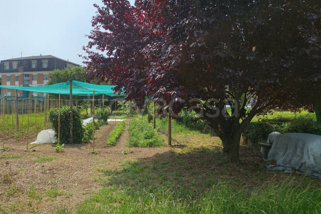 immagine annuncio 5 di 10