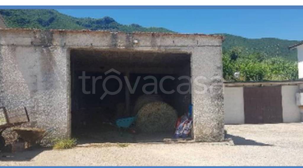 immagine annuncio 6 di 13