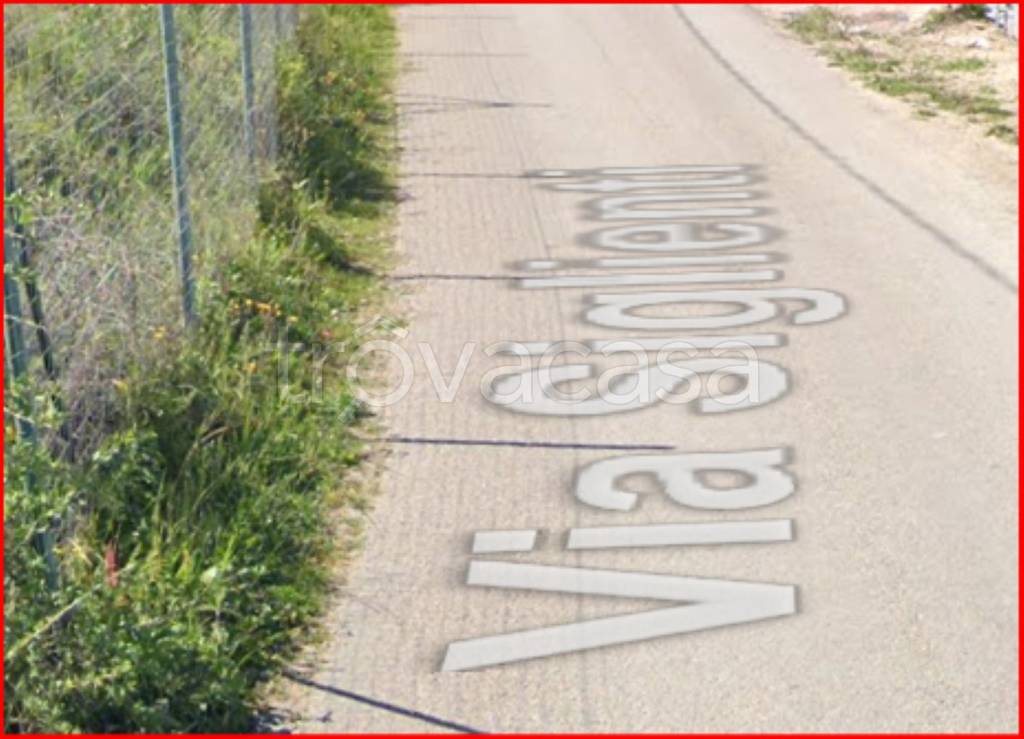 immagine annuncio 5 di 12