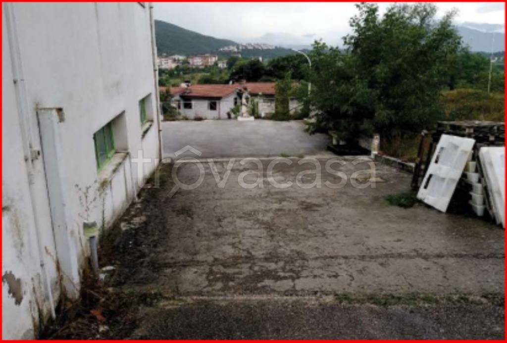 immagine annuncio 11 di 13