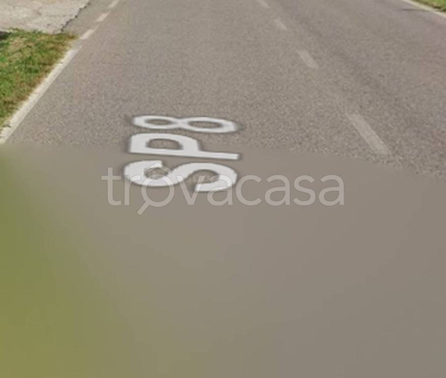 immagine annuncio 2 di 11