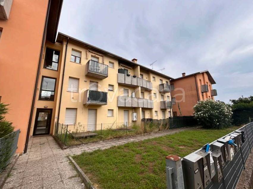 immagine annuncio 1 di 14