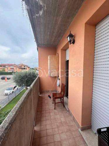 immagine annuncio 5 di 14