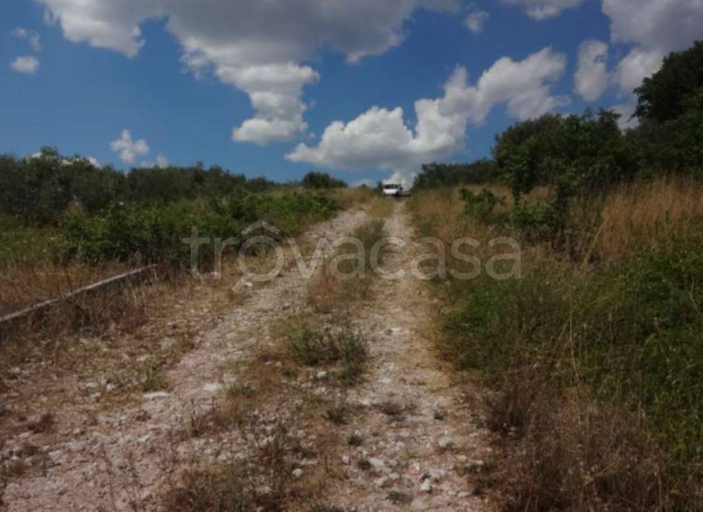 immagine annuncio 2 di 11