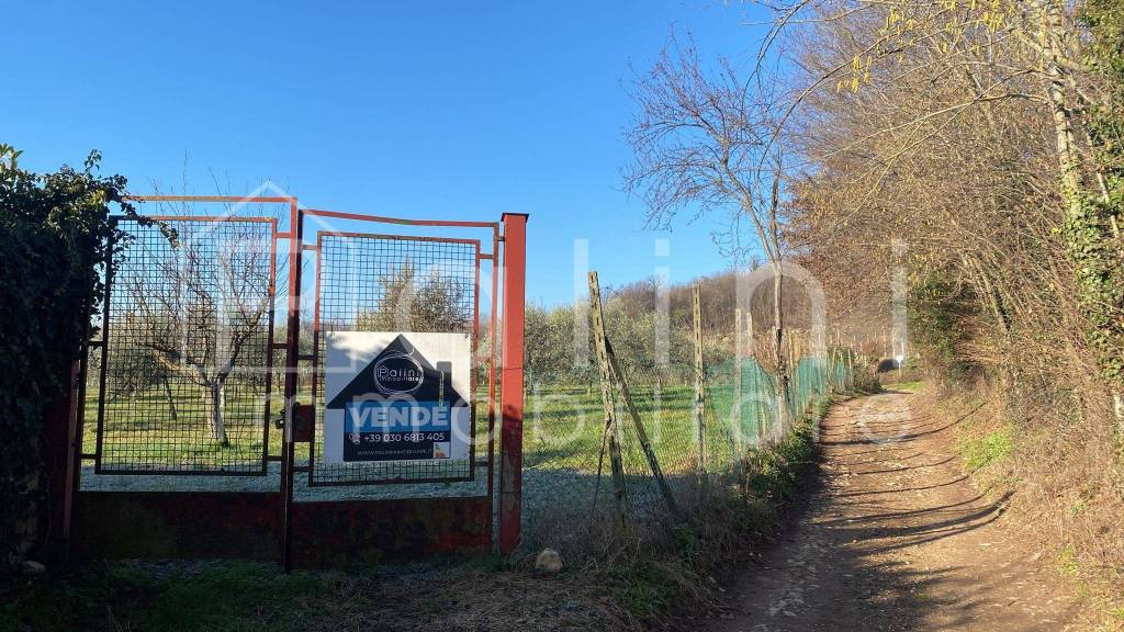 immagine annuncio 5 di 7