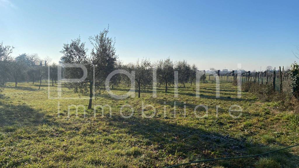 immagine annuncio 2 di 7