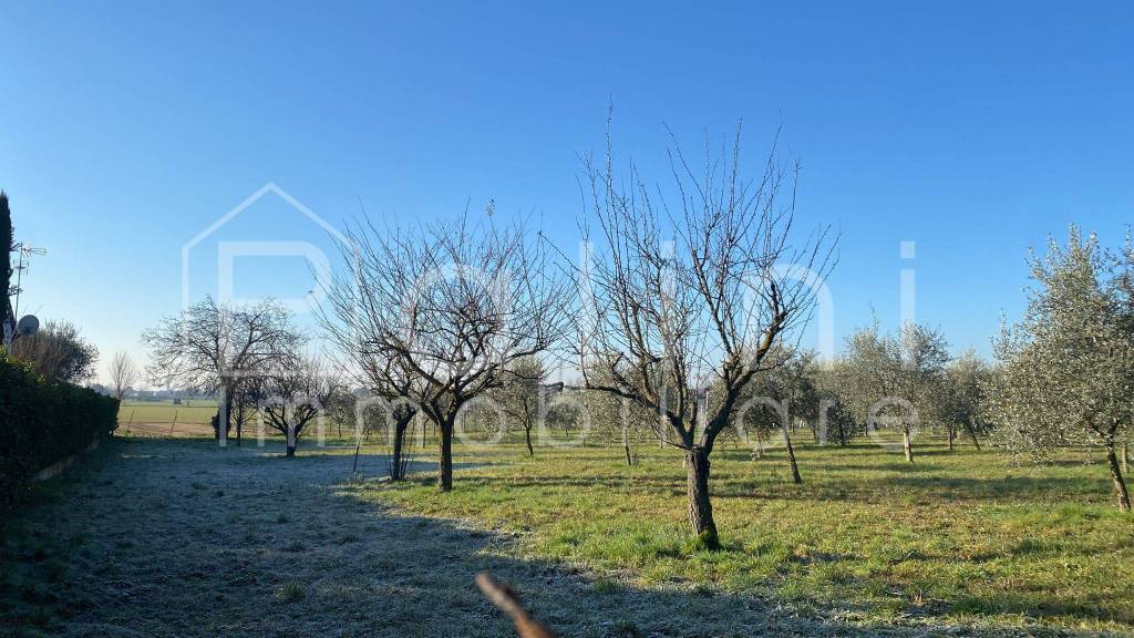 immagine annuncio 3 di 7