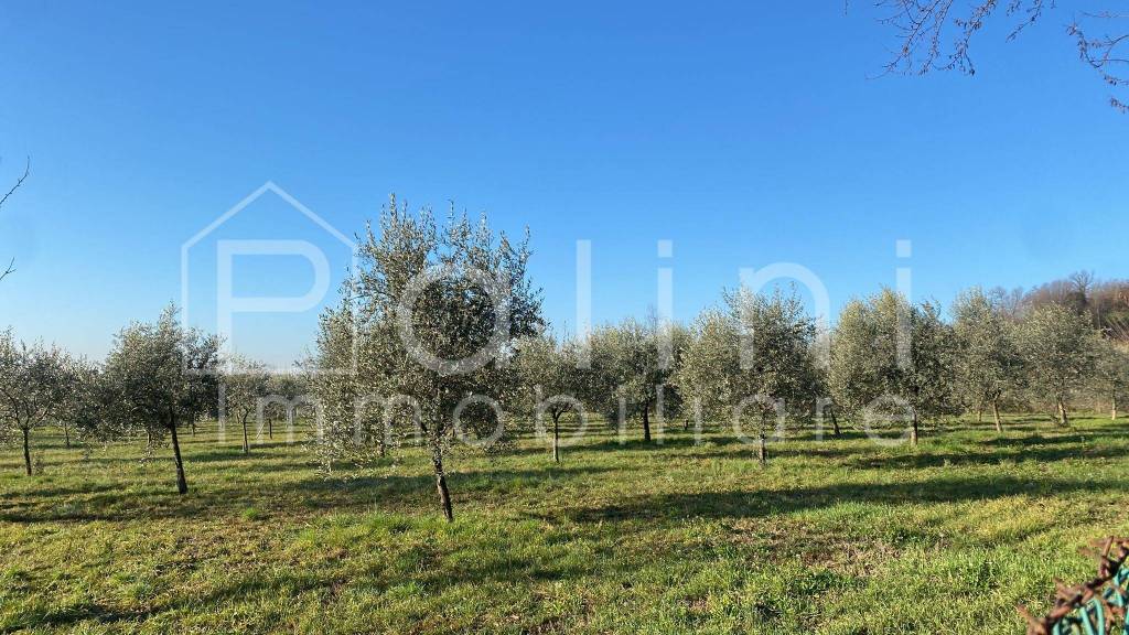 immagine annuncio 4 di 7