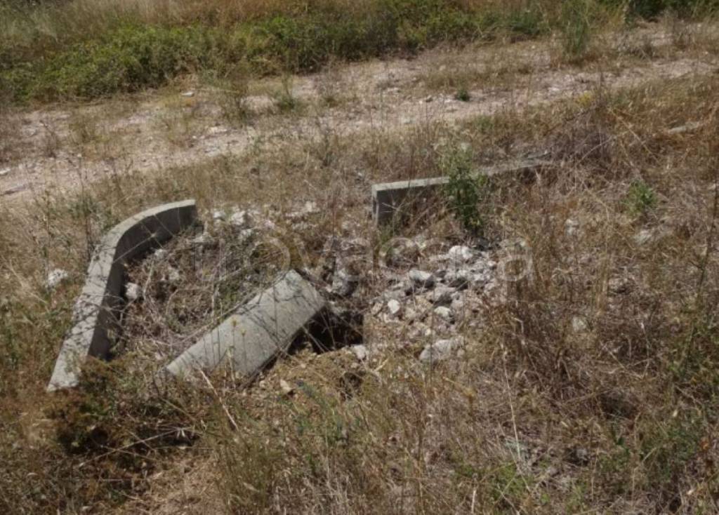 immagine annuncio 6 di 11