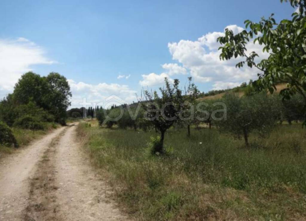 immagine annuncio 9 di 11