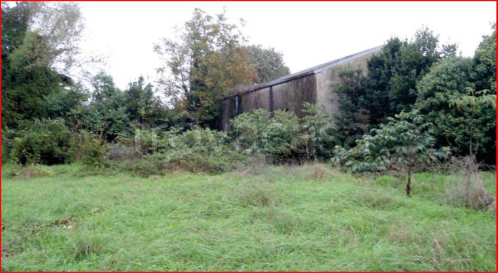 immagine annuncio 11 di 13