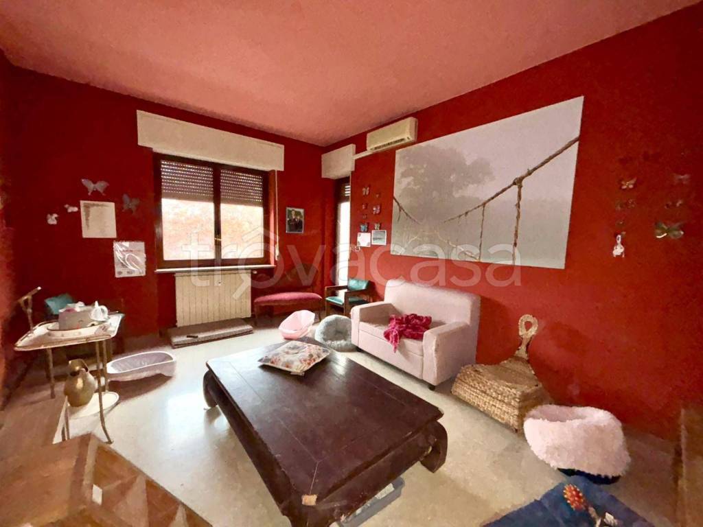 immagine annuncio 9 di 15