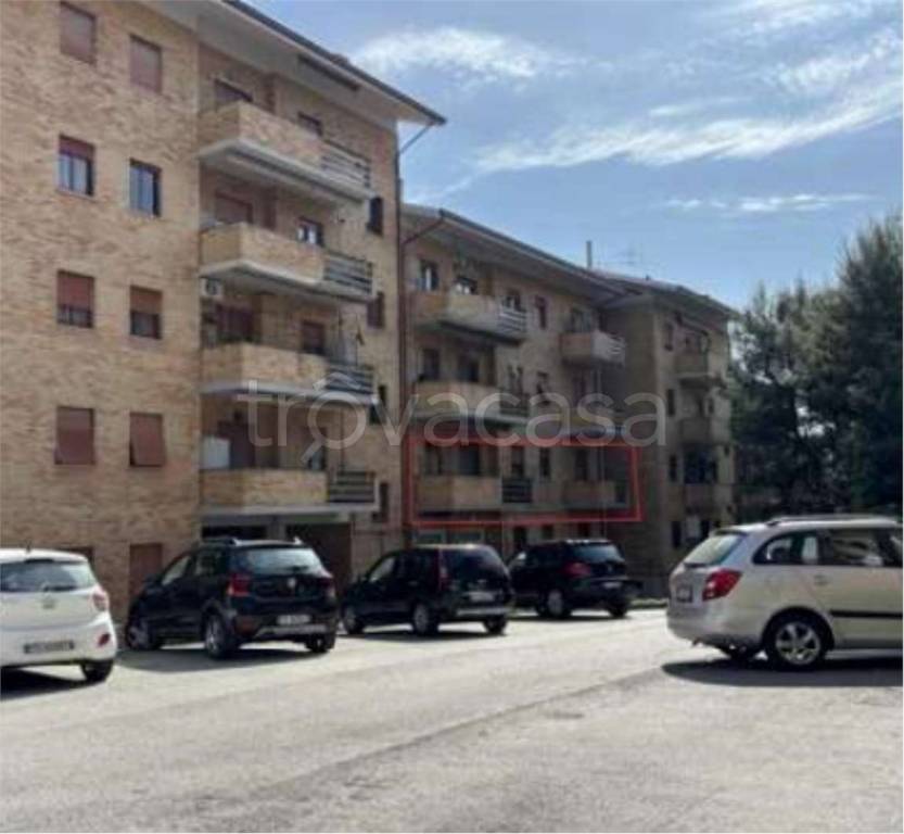 immagine annuncio 2 di 14