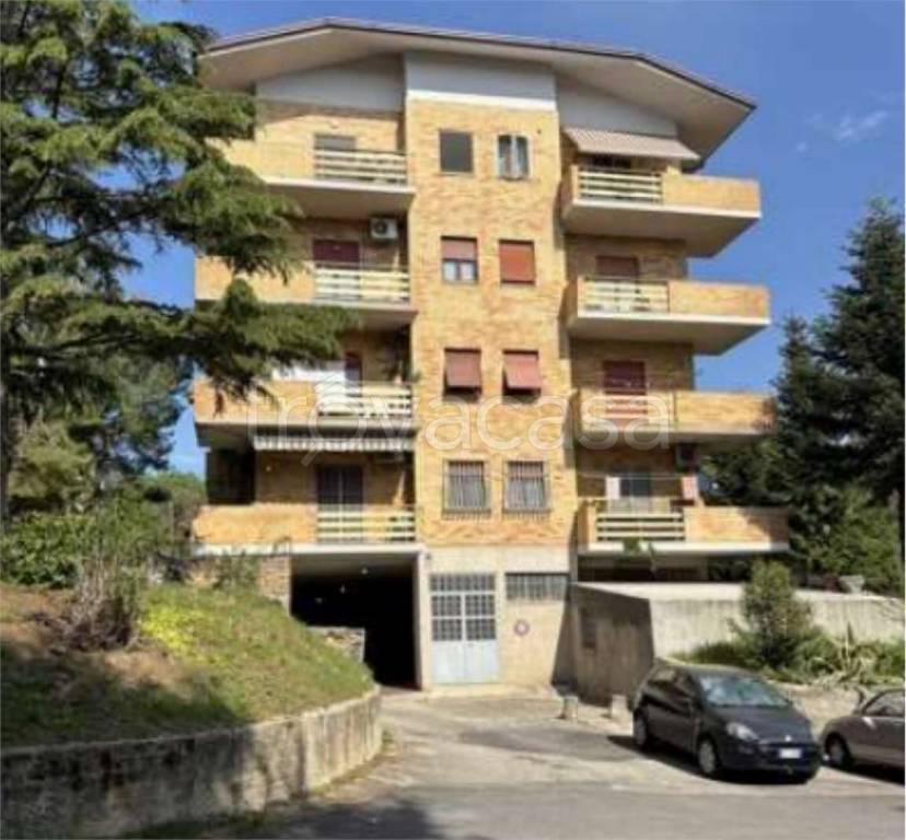 immagine annuncio 13 di 14