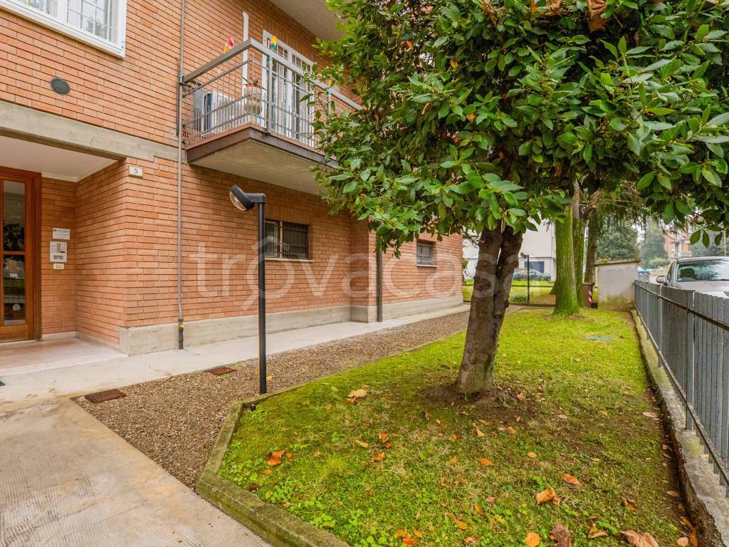 immagine annuncio 3 di 13