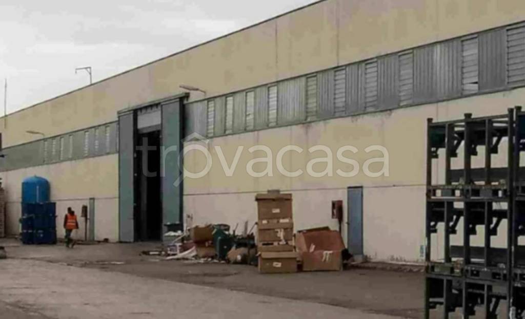 immagine annuncio 1 di 13