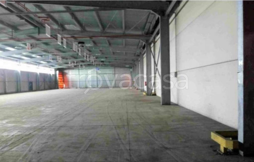 immagine annuncio 3 di 13