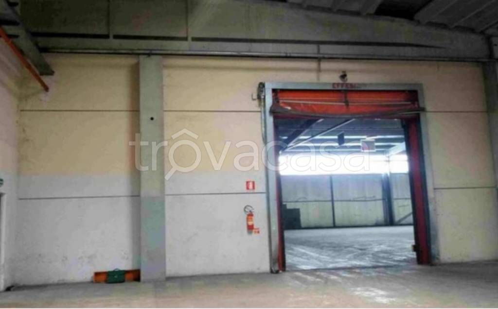 immagine annuncio 4 di 13