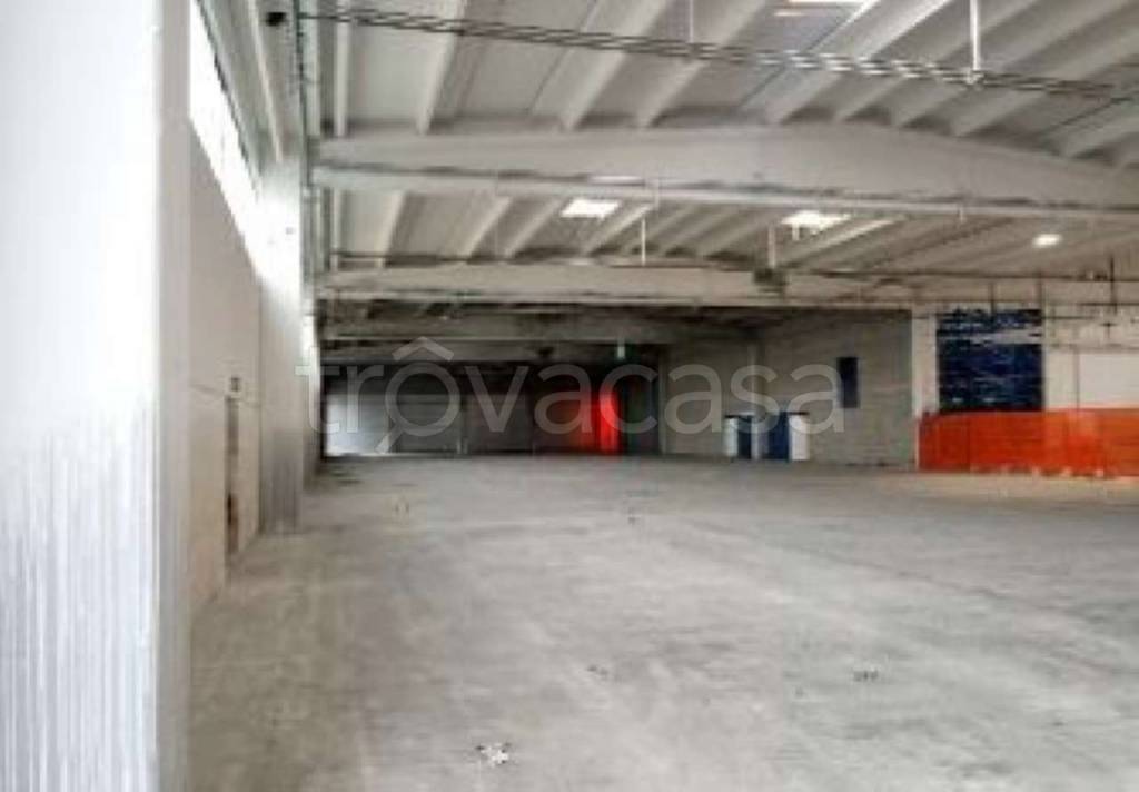 immagine annuncio 6 di 13