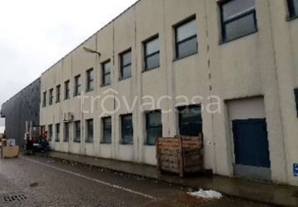 immagine annuncio 7 di 13