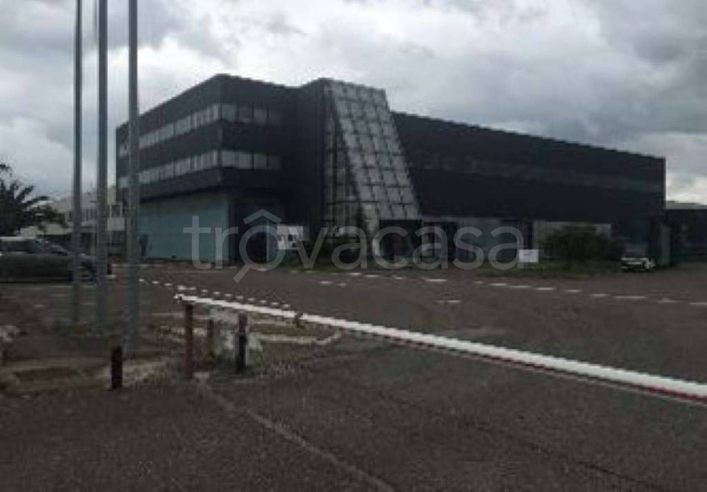 immagine annuncio 8 di 13