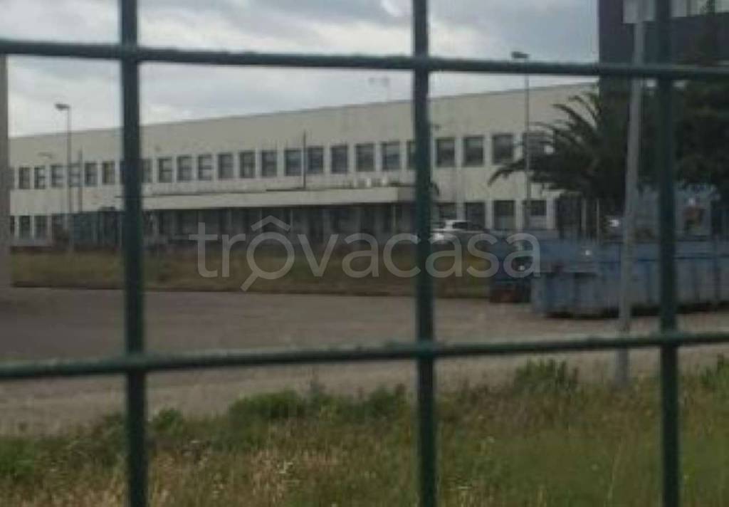 immagine annuncio 10 di 13