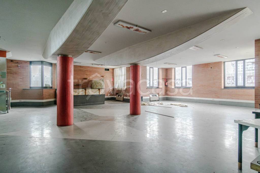 immagine annuncio 12 di 14