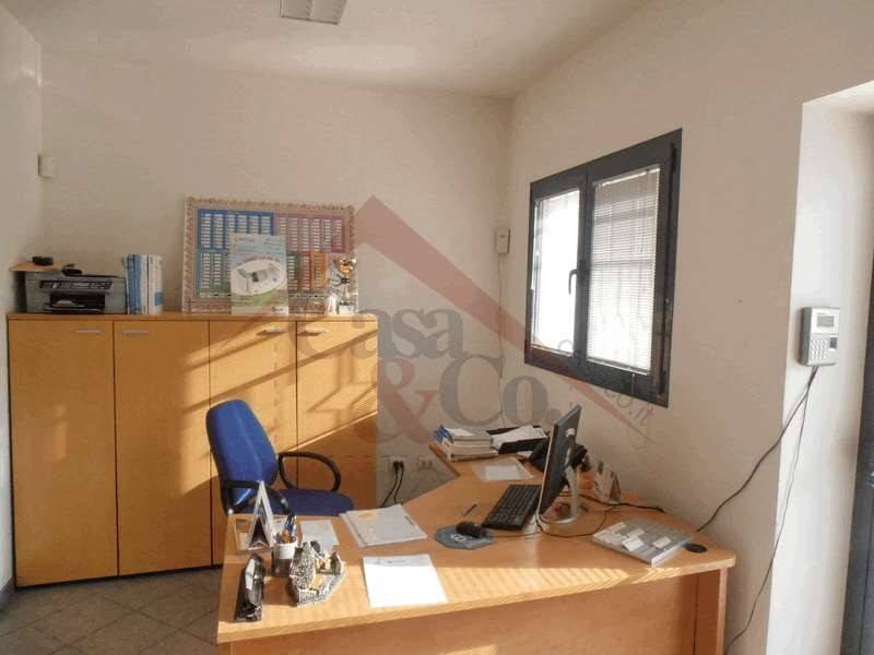 immagine annuncio 1 di 7