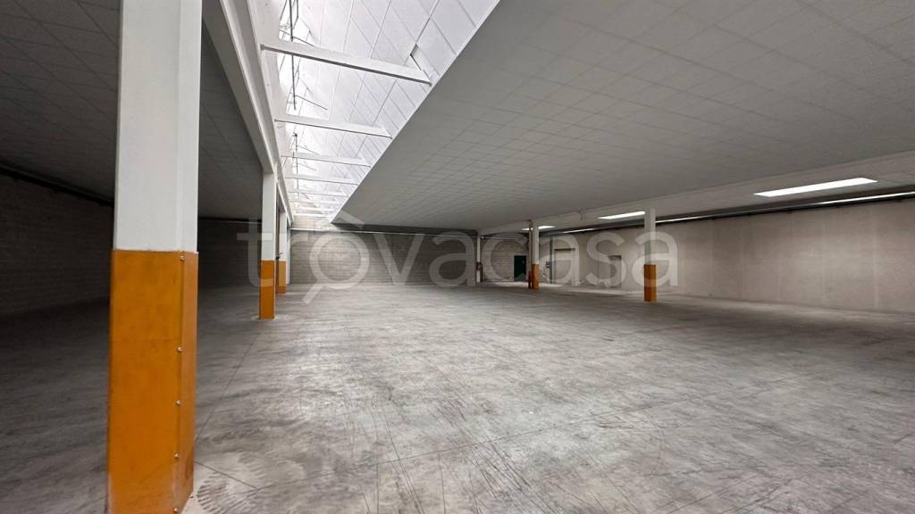 immagine annuncio 1 di 9