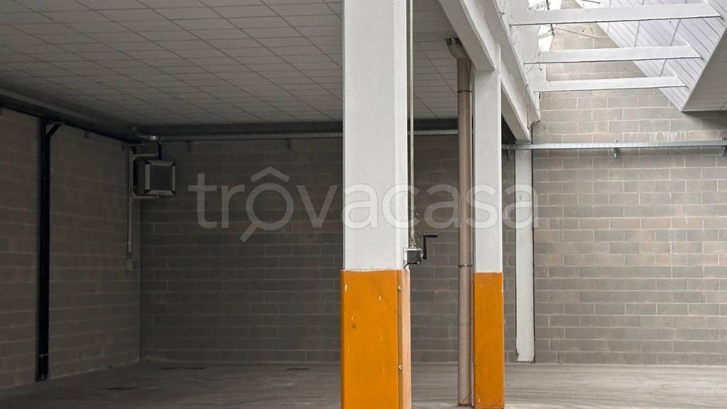 immagine annuncio 2 di 9