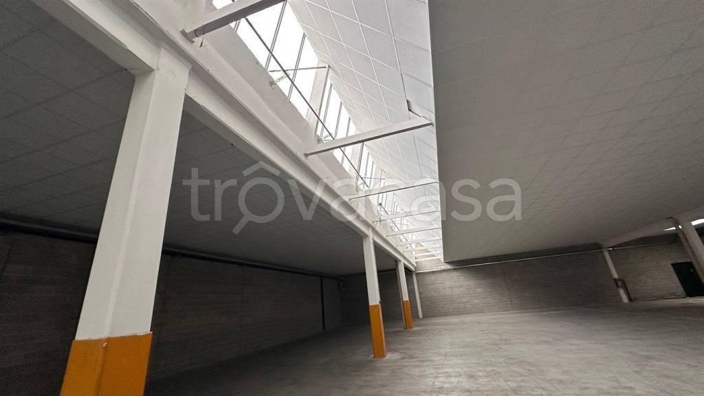 immagine annuncio 3 di 9