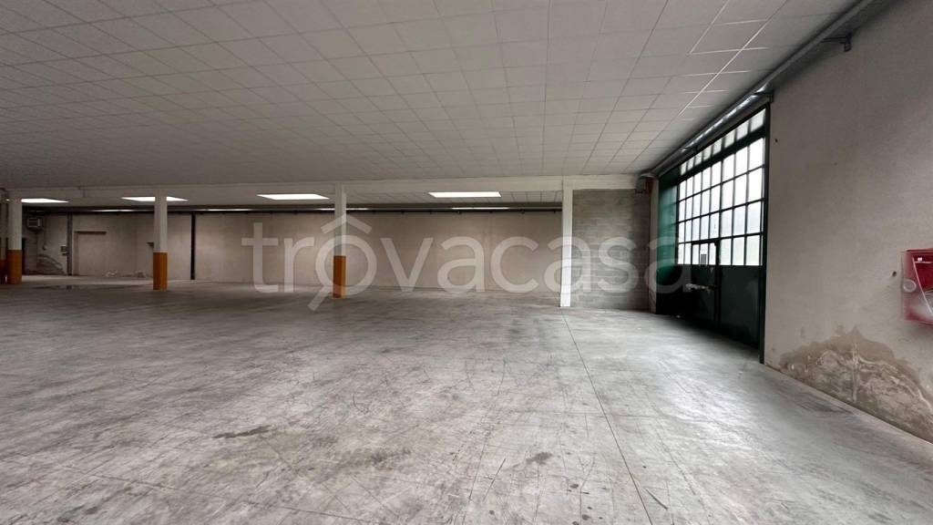 immagine annuncio 8 di 9