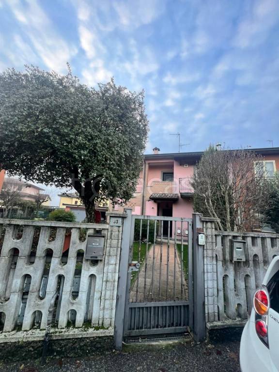 immagine annuncio 7 di 15