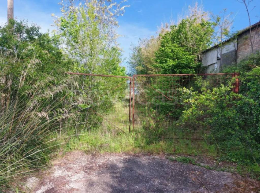 immagine annuncio 3 di 11