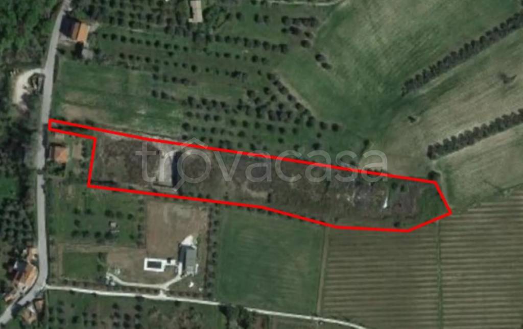 immagine annuncio 4 di 11