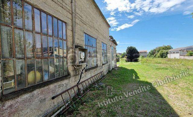 immagine annuncio 5 di 13