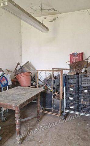 immagine annuncio 10 di 13